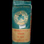 H 520 Maize Hybrid Seeds 2kg