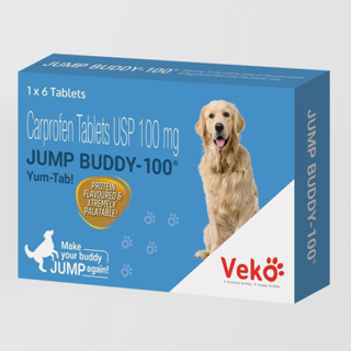 Jump Buddy Pain Tablets 1x 6 tablets