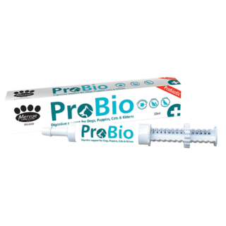Probio Plus For Dogs 1pc