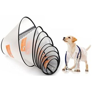 Pet Protection Funnel for Dogs & Cats Medium