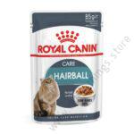 Royal Canin Fhn Hairball Care Cat Pouch With Gravy 85g