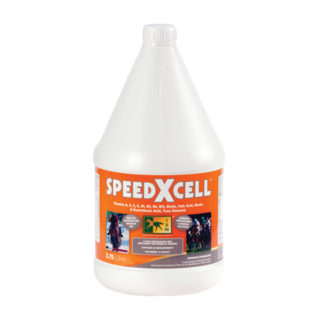 Speed Xcell 3.75L