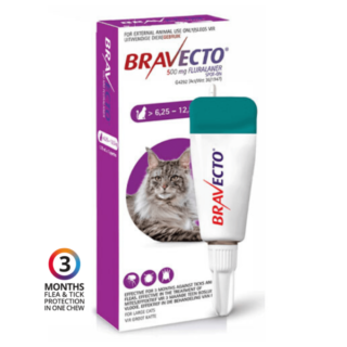 Bravecto Topical Solution For Cats – 6.25 TO 12.5KG, 1 Treatments