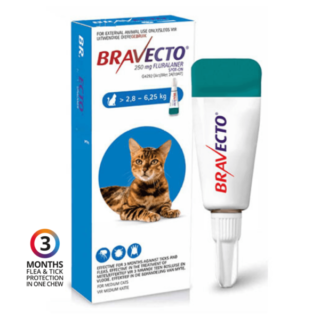 Bravecto Topical Solution For Cats – 2.8 TO 6.25KG, 1 Treatment