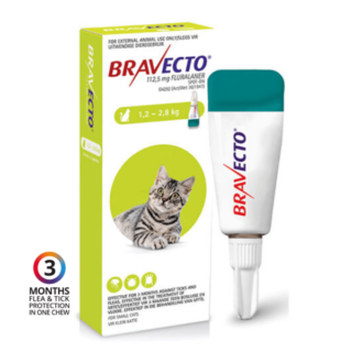 Bravecto Topical Solution For Cats – 1.2 TO 2.8KG, 1 Treatment