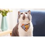 Cat Bandanas Medium