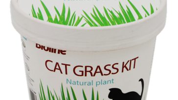 Bioline Cat Grass Kit