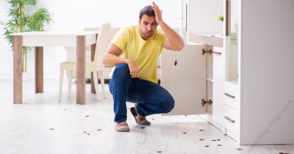 Offices (Sq.ft) Cockroach Control