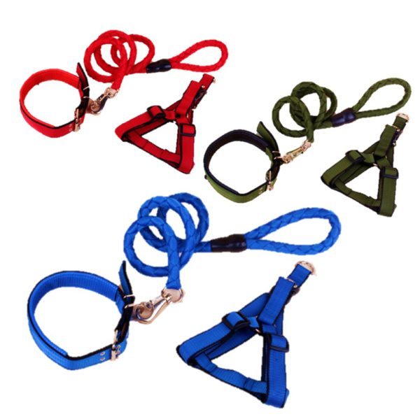 Collar Harness And Leash Set Medium