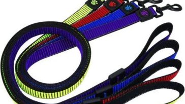 DOCO Martini Bean Leash Small