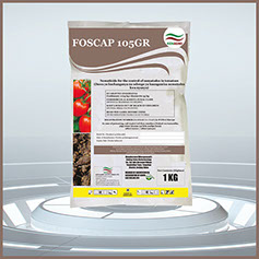 Foscap 105GR (100g)