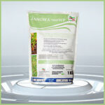 Jangwa 700WP (100g)