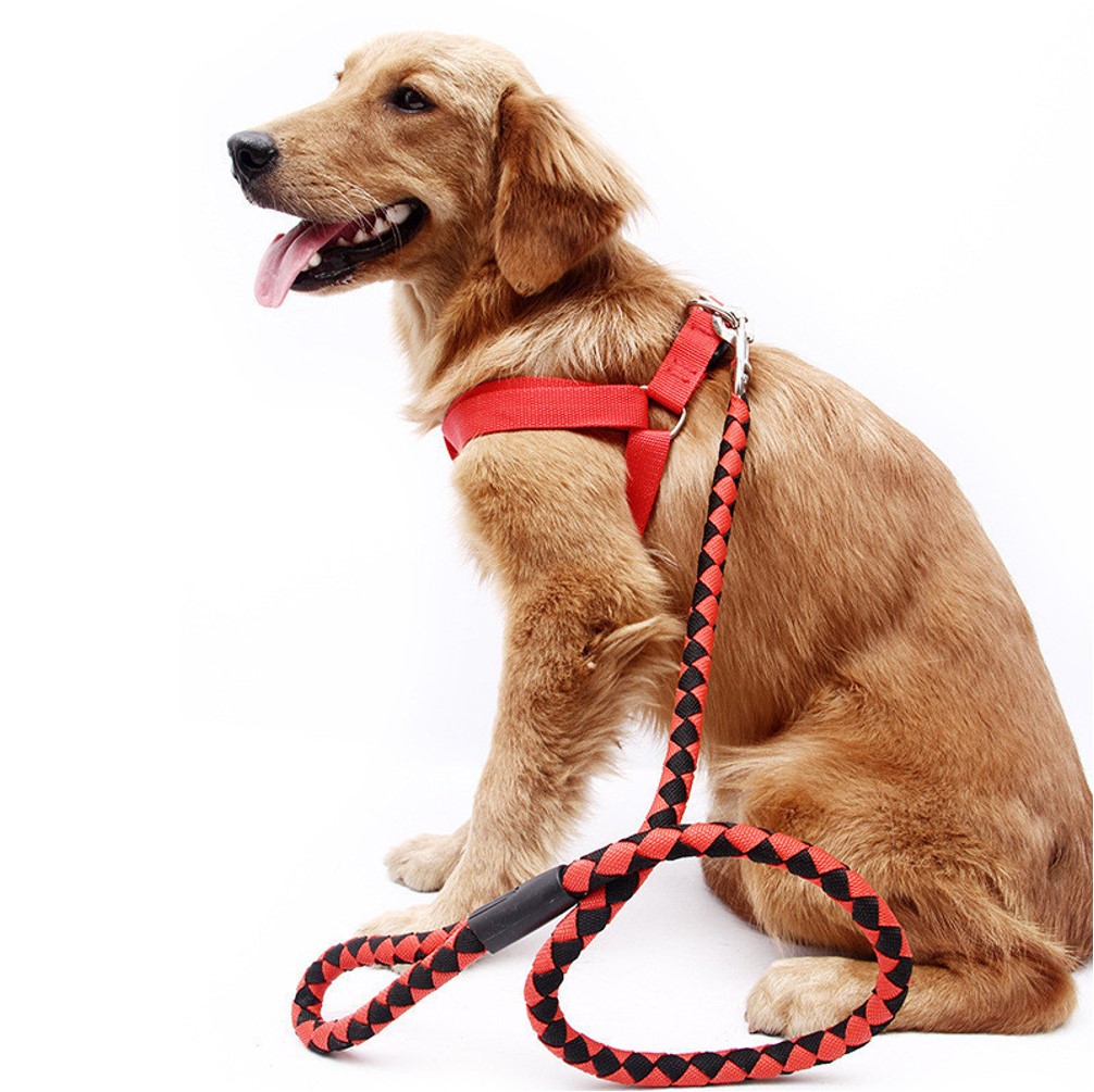 Rope Leash and Harness Set Large