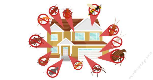 2 Bedroom Cockroach Fumigation