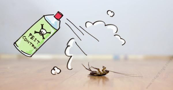 Warehouse Cockroach Control