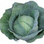 Riana F1 (500g)
