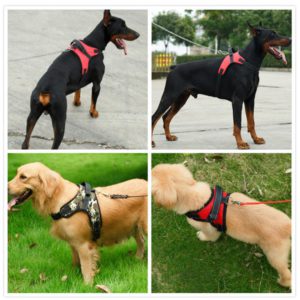 Saddle Dog Harness Large