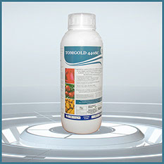 Tomgold 440SC (500ml)
