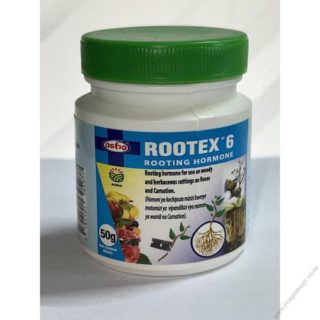 Rootex 6dp Rooting Hormone powder (50g)
