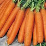 Carrot Nantes 48x10g