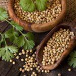 Coriander Dhania 250g