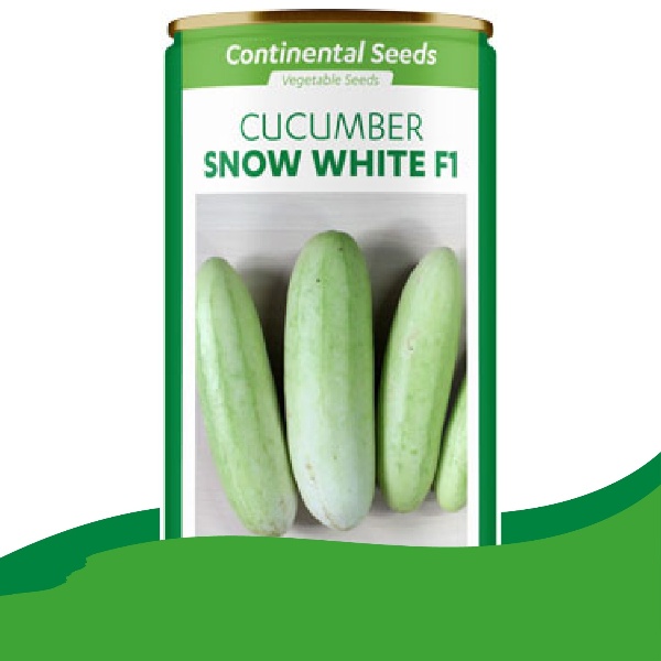 Hybrid Cucumber Snow White F1 5gr