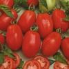 Tomato Rio Grande 12X250 g