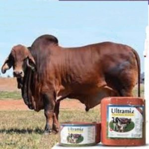 Ultramix General Block 5kg