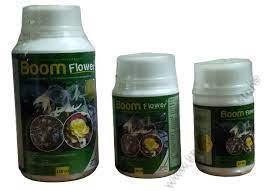 Boom Flower (100ml)
