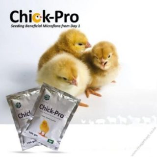Chick Pro 20grms