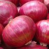 Onion Sivan F1 (100g)