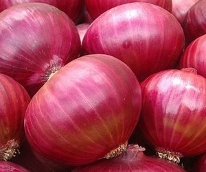 Onion Sivan F1 (1kg)