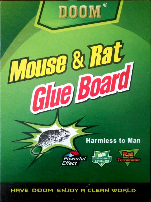Rat & Mouse Glue Board (1pc)