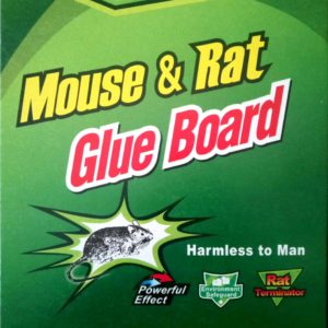 Rat & Mouse Glue Board 1pc