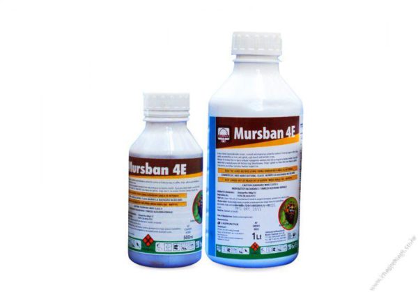 Mursban 480sc Insecticide (1L)