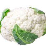 Early Snowball (50g)