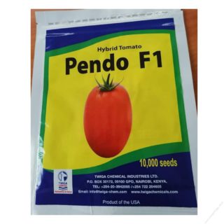 PENDO F1 10000seeds
