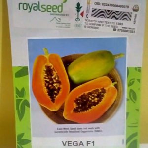 Vega F1 Papaya - 10 Seeds