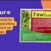 Faw Lure (1pc)