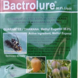 Bactroclure (1pc)