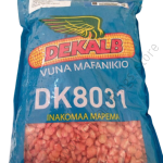 DK 8031 Hybrid Maize Seeds 2kg