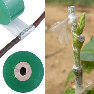 Grafting Tape - Green 3cm x 100m
