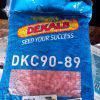 DK C 90-89 Hybrid Maize 2kg