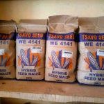 Tsavo WE 4141 Maize Seeds - 2kg