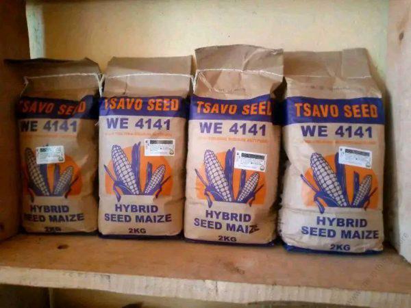 Tsavo WE 4141 Maize Seeds - 2kg