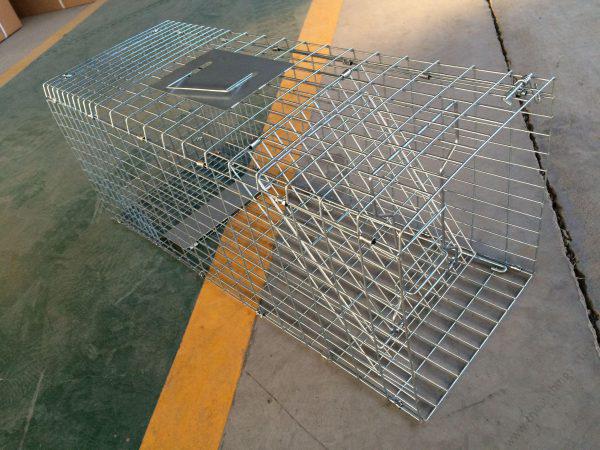 Collapsible Feral Cat Trap