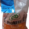 Pioneer PHB 30G19 Maize Seeds 2kg