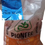 Pioneer PHB 30G19 Maize Seeds 2kg