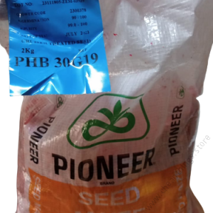 Pioneer PHB 30G19 Maize Seeds 2kg