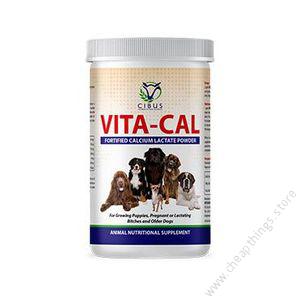 VITA-CAL Calcium Lactate Powder